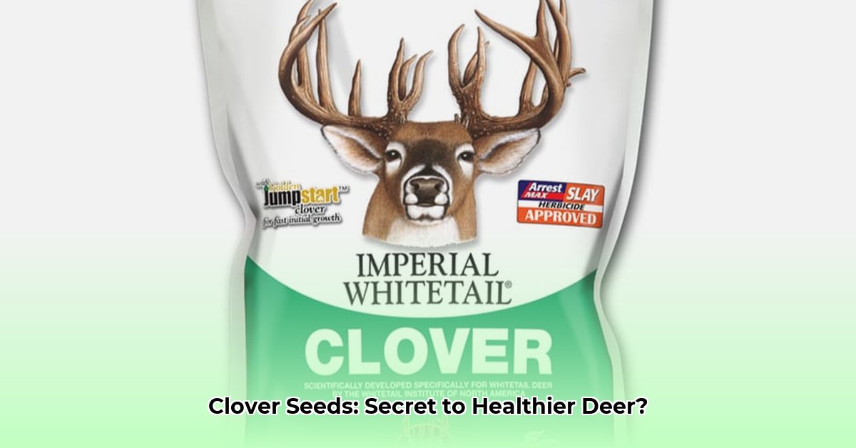 clover-seed-tractor-supply